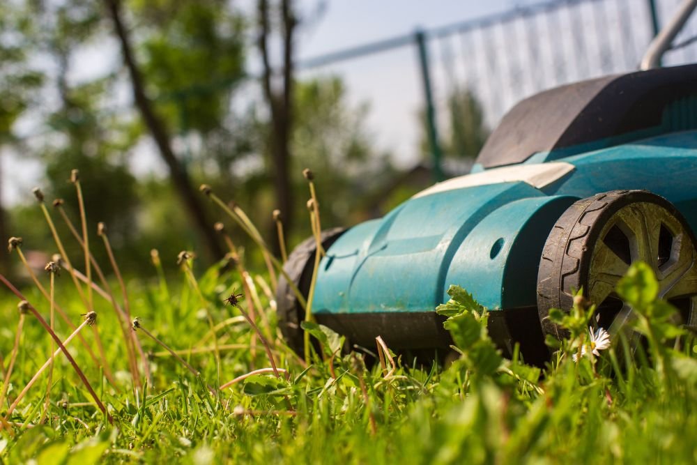 A lawn mower rests on a patch of green grass, surrounded by a well-maintained lawn.