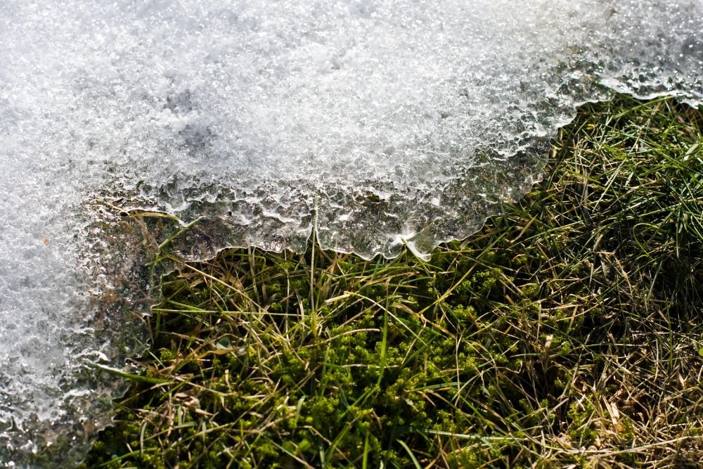 Ice crystals glisten on blades of grass, creating a frosty landscape in a serene outdoor setting.