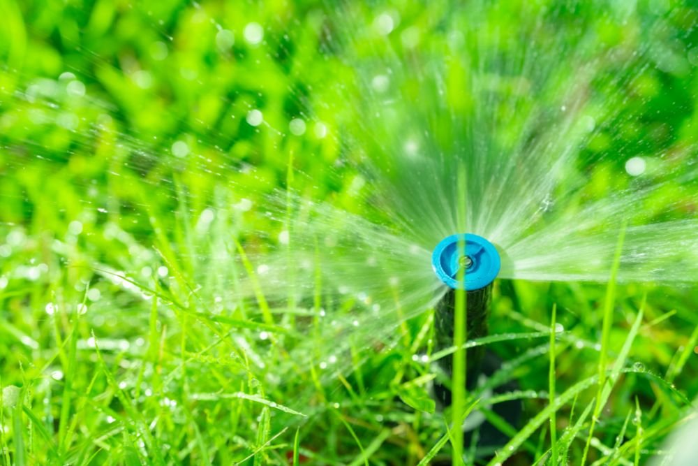 A sprinkler sprays water over a lush green lawn, creating a refreshing scene of garden care and maintenance.
