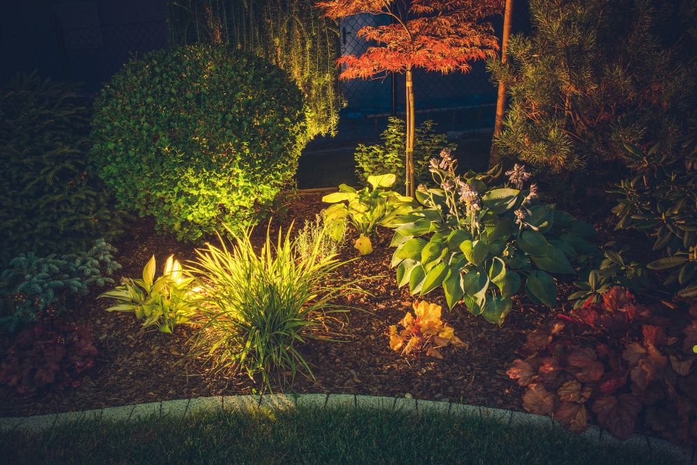 A beautifully lit garden featuring various plants, creating a serene and enchanting atmosphere at night.
