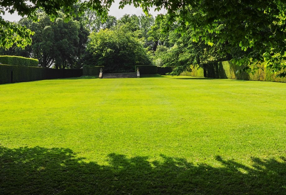A spacious green lawn surrounded by trees and bushes, creating a serene outdoor environment.