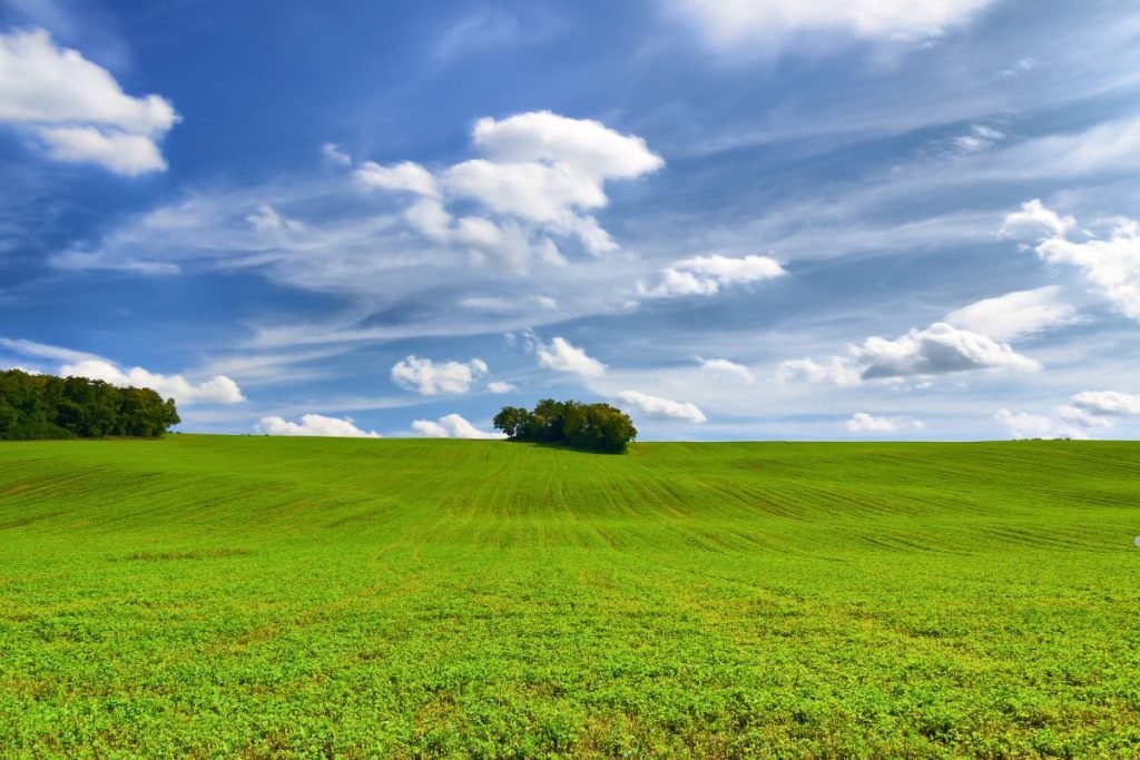 Seasonal Considerations for Lawn Fertilization 