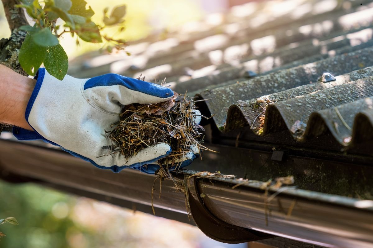 A gloved hand removes debris from a gutter, collecting leaves and twigs with a background of a sunlit, textured roof.