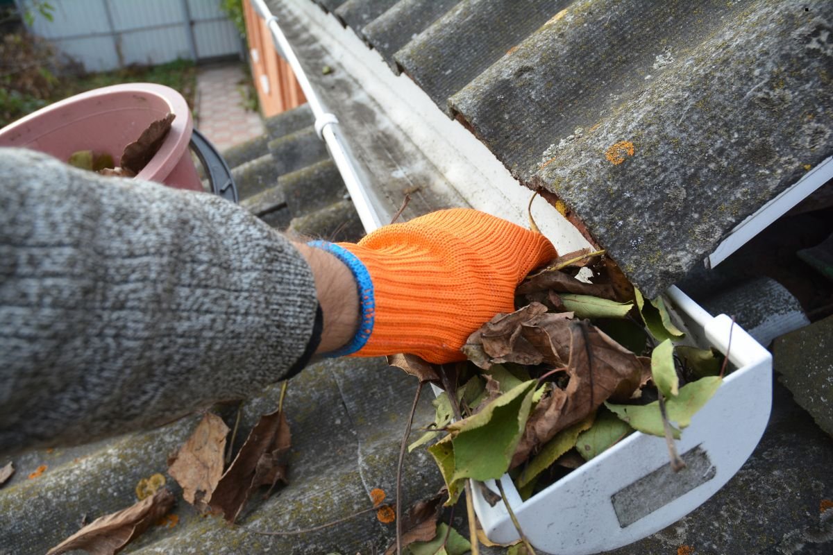 A person wearing an orange glove cleans leaves from a gutter on a roof, with a pot nearby to collect the debris.