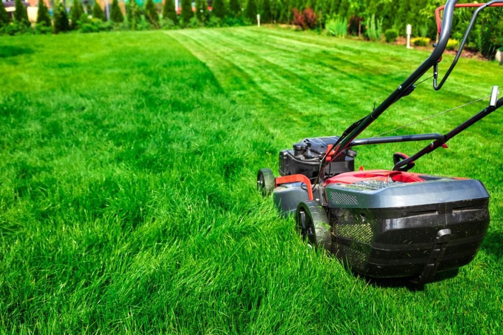 A push lawn mower sits on a lush, green lawn, with freshly cut grass and visible mowing lines in the background.