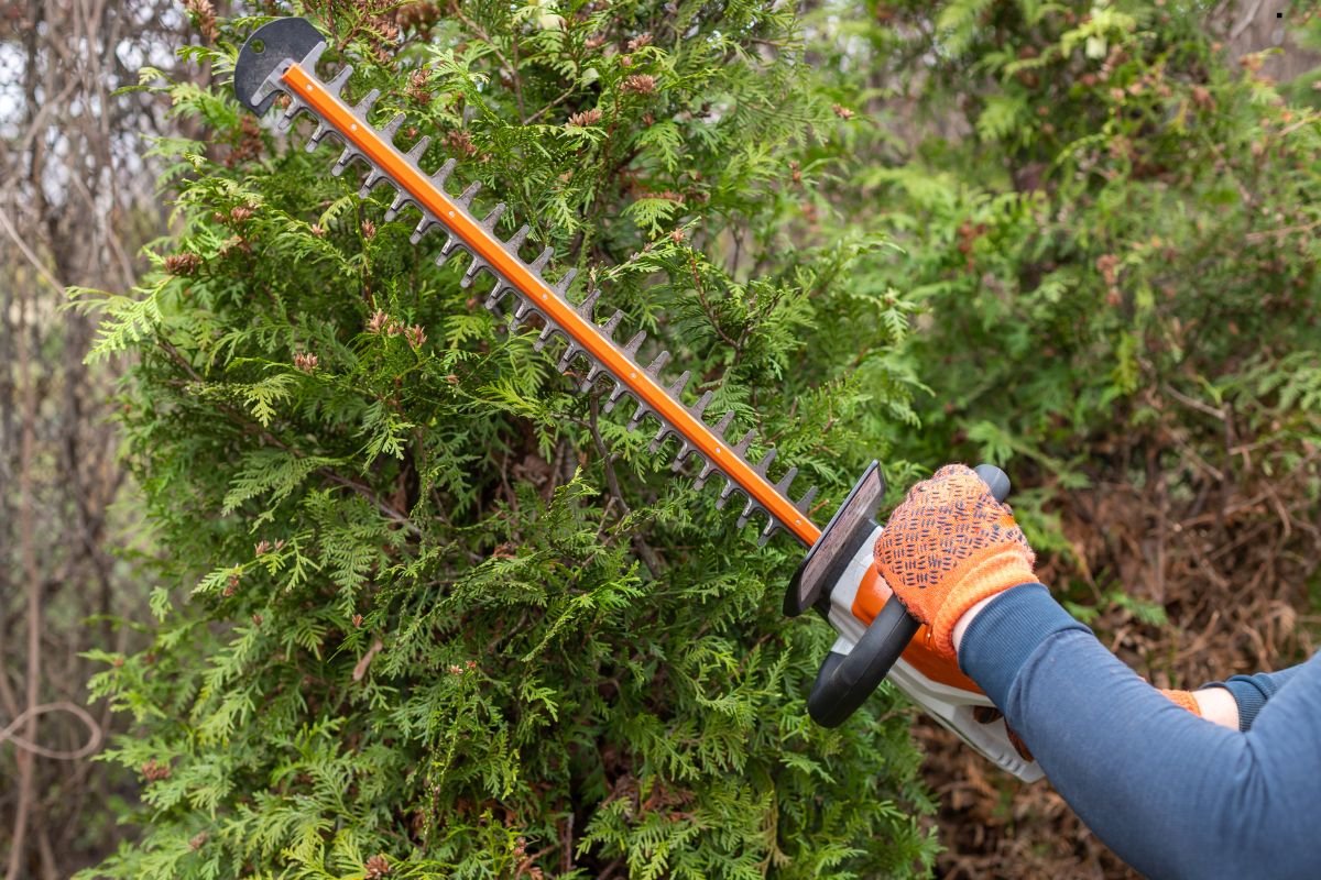 A person wearing orange gloves trims a lush green hedge with a hedge trimmer, focusing on shaping the foliage.